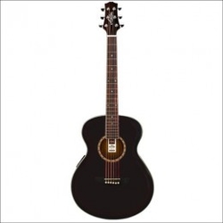 Ashton SL29 BK