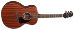 Takamine GN11M-NS