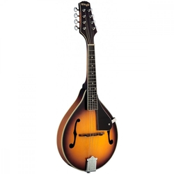 Stagg M40 S