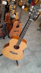 Arrow Gold A NT NATURAL