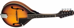 Stagg M40 S