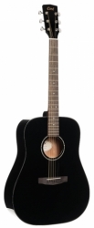 Cort Earth 60 BK