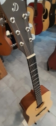 Dowina Puella DE-s/SP